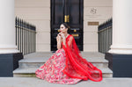 Ambi red lehenga skirt and bralette with choice of dupatta