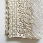 Embroidered sequin fan dupatta