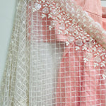 Embroidered sequin fan dupatta